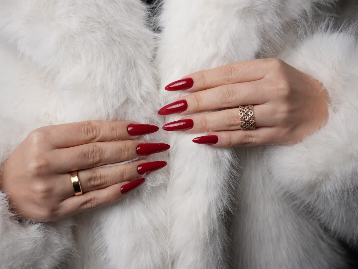 Long deep red nails on two hands resting against white fur